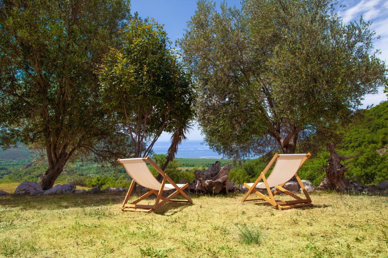 Eco Village Buljarica بودفا المظهر الخارجي الصورة